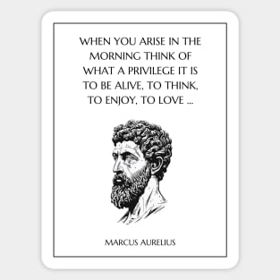 Marcus Aurelius Meditations Sticker